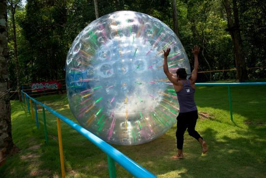 Zip N Zorb Adventure Park